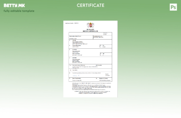 модерен стил Унгарски витален рекорд Извод од матична книга на родени Шаблон за